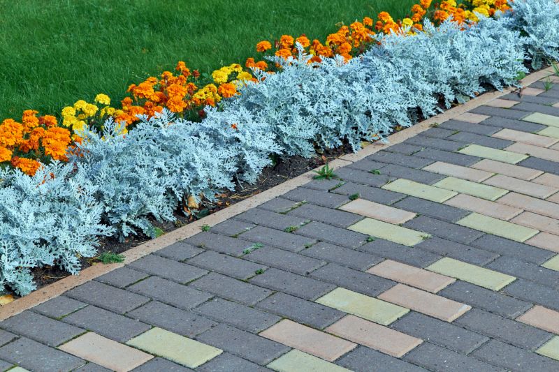 Driveway Paver Repair detail